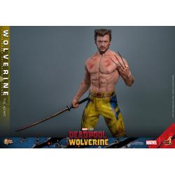 Deadpool & Wolverine Movie Masterpiece Figura 1/6 LOBEZNO(TVA Jacket Version) 31 cm HOT TOYS