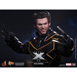 Wolverine  X-Men  hot toys