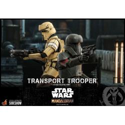  Transport Trooper™ Sixth Scale Figure by Hot Toys The Mandalorian - Television Masterpiece Series