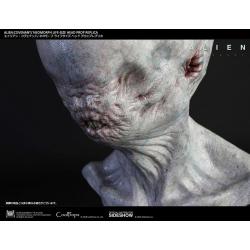 Alien Covenant Busto 1/1 Neomorph 50 cm