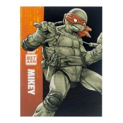  Últimas unidades Tortugas Ninja Pack de Figuras BST AXN Black&White (IDW Comics) 13 cm The Loyal Subjects