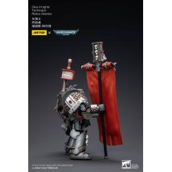 Warhammer 40k Figura 1/18 Grey Knights Terminator Retius Akantar 13 cm Joy Toy