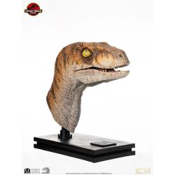 Jurassic Park Estatua tamaño real Male Velociraptor 75 cm  Elite Creature Collectibles 