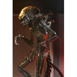 ALIEN Figura Ultimate Scorched Xenomorph 18 cm NECA