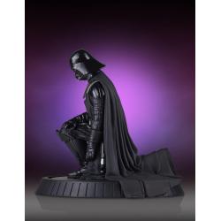 Star Wars Collectors Gallery Statue 1/8 Darth Vader 20 cm