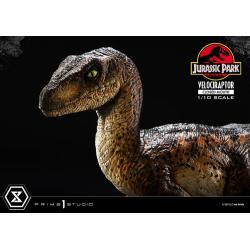 Velociraptor BOCA CERRADA Jurassic Park Estatua Prime Collectibles 1/10  19 cm Parque Jurasico PRIME 1 STUDIO