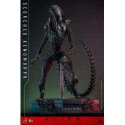 Alien: Romulus Figura Movie Masterpiece 1/6 Scorched Xenomorph 44 cm Hot Toys