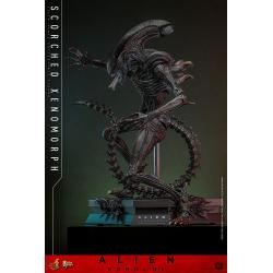 Alien: Romulus Figura Movie Masterpiece 1/6 Scorched Xenomorph 44 cm Hot Toys