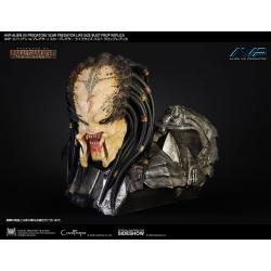 Aliens vs Predator busto 1/1 Scar Predator 65 cm