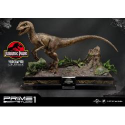 Jurassic Park Statue 1/6 Velociraptor 41 cm