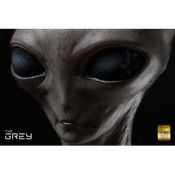 Elite Creature Collectibles: The Grey 1:1 Scale Bust