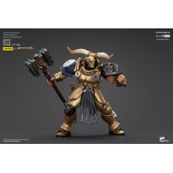 Warhammer Age of Sigmar Actionfigur Stormcast Eternals The Blacktalons Rostus Oxen hammer 20 cm  Joy Toy (CN)