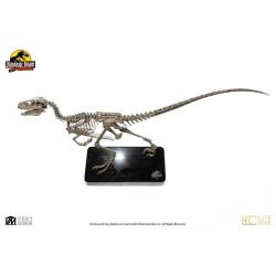  Parque Jurasico : Estatua de bronce con esqueleto de raptor a escala 1:4 ELITE CREATURES