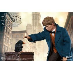 Fantastic Beasts My Favourite Movie Action Figure 1/6 Newt Scamander 30 cm