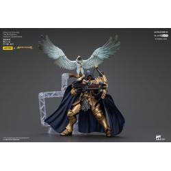 Warhammer Age of Sigmar Actionfigur Stormcast Eternals The Blacktalons Shakana Goldenblade 20 cm Joy Toy (CN) 