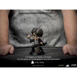 Harry Potter Mini Co. PVC Figure Harry Potter with Sword of Gryffindor 14 cm