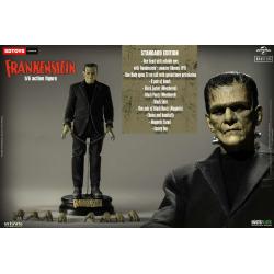 Frankenstein monster 1/6 action figura standard edition infinite statue