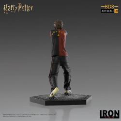 Harry Potter Estatua BDS Art Scale 1/10 Harry Potter 17 cm Iron Studios