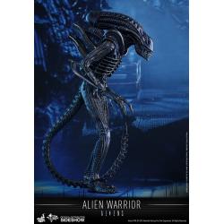 Alien Warrior Sixth Scale Figure by Hot Toys