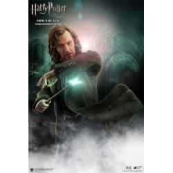 Harry Potter My Favourite Movie Figura 1/6 Sirius Black 30 cm