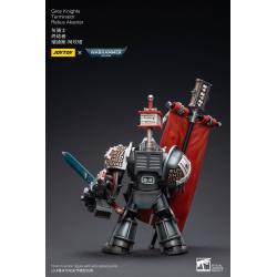 Warhammer 40k Figura 1/18 Grey Knights Terminator Retius Akantar 13 cm Joy Toy