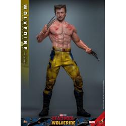 Deadpool & Wolverine Movie Masterpiece Figura 1/6 LOBEZNO(TVA Jacket Version) 31 cm HOT TOYS