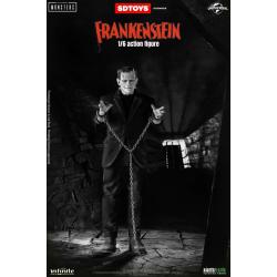 Frankenstein monster 1/6 action figura standard edition infinite statue