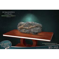 Wonders of the Wild Mini Replica Dunkleosteus Fossil 42 cm
