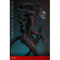 Alien: Romulus Figura Movie Masterpiece 1/6 Scorched Xenomorph 44 cm Hot Toys