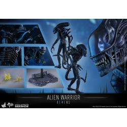 Alien Warrior Sixth Scale Figure by Hot Toys