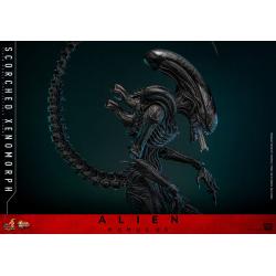 Alien: Romulus Figura Movie Masterpiece 1/6 Scorched Xenomorph 44 cm Hot Toys