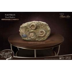 Wonders of the Wild Series Estatua 1/1 Nautilus Miniature Frame & Fossil 15 cm Star Ace Toys 