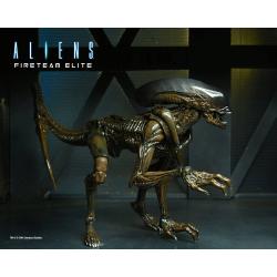 Aliens: Fireteam Elite Figuras 23 cm NECA