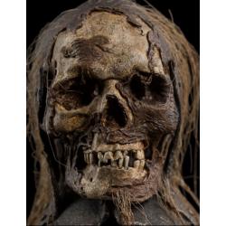El Señor de los Anillos Réplica Casco Skull Trophy de Orc Lieutenant 18 cm