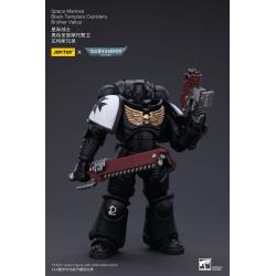 Warhammer 40k Figura 1/18 Space Marines Black Templars Outriders Brother Valtus 14 cm  Joy Toy (CN) 