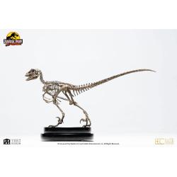 Jurassic Park Statue 1/8 Velociraptor Skeleton Bronze 24 cm