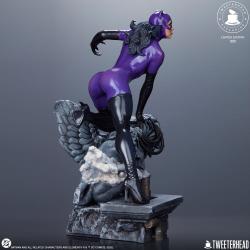 DC Comics Estatua 1/4 Catwoman (Purple Edition) 47 cm Tweeterhead 