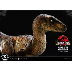 Velociraptor BOCA CERRADA Jurassic Park Estatua Prime Collectibles 1/10  19 cm Parque Jurasico PRIME 1 STUDIO