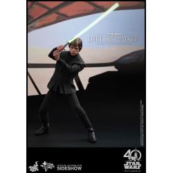 Luke Skywalker Sixth Scale Figure