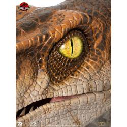 Jurassic Park Estatua tamaño real Male Velociraptor 75 cm  Elite Creature Collectibles 