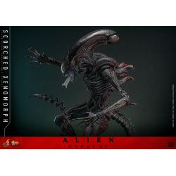 Alien: Romulus Figura Movie Masterpiece 1/6 Scorched Xenomorph 44 cm Hot Toys