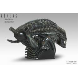 Alien Warrior Life-Size Bust by Sideshow Collectibles
