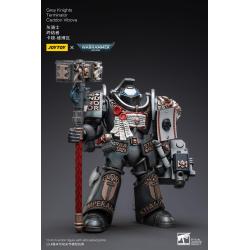 Warhammer 40k Figura 1/18 Grey Knights Terminator Caddon Vibova 13 cm  Joy Toy 