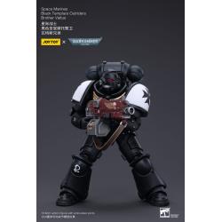 Warhammer 40k Figura 1/18 Space Marines Black Templars Outriders Brother Valtus 14 cm  Joy Toy (CN) 