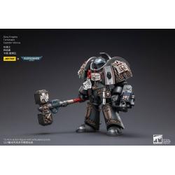 Warhammer 40k Figura 1/18 Grey Knights Terminator Caddon Vibova 13 cm  Joy Toy 