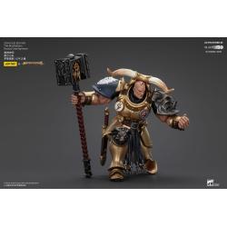 Warhammer Age of Sigmar Actionfigur Stormcast Eternals The Blacktalons Rostus Oxen hammer 20 cm  Joy Toy (CN)