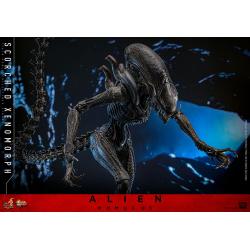 Alien: Romulus Figura Movie Masterpiece 1/6 Scorched Xenomorph 44 cm Hot Toys