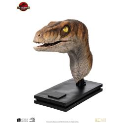 Jurassic Park Estatua tamaño real Male Velociraptor 75 cm  Elite Creature Collectibles 