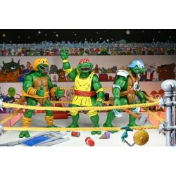 Tortugas Ninja (Archie Comics) Figuras Paquete de 4 Stump Wrestling Turtles 18 cm NECA