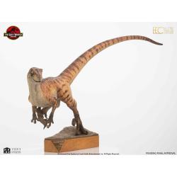 Jurassic Park Estatua 1/4 The Lost World: Jurassic Park Male Velociraptor 63 cm